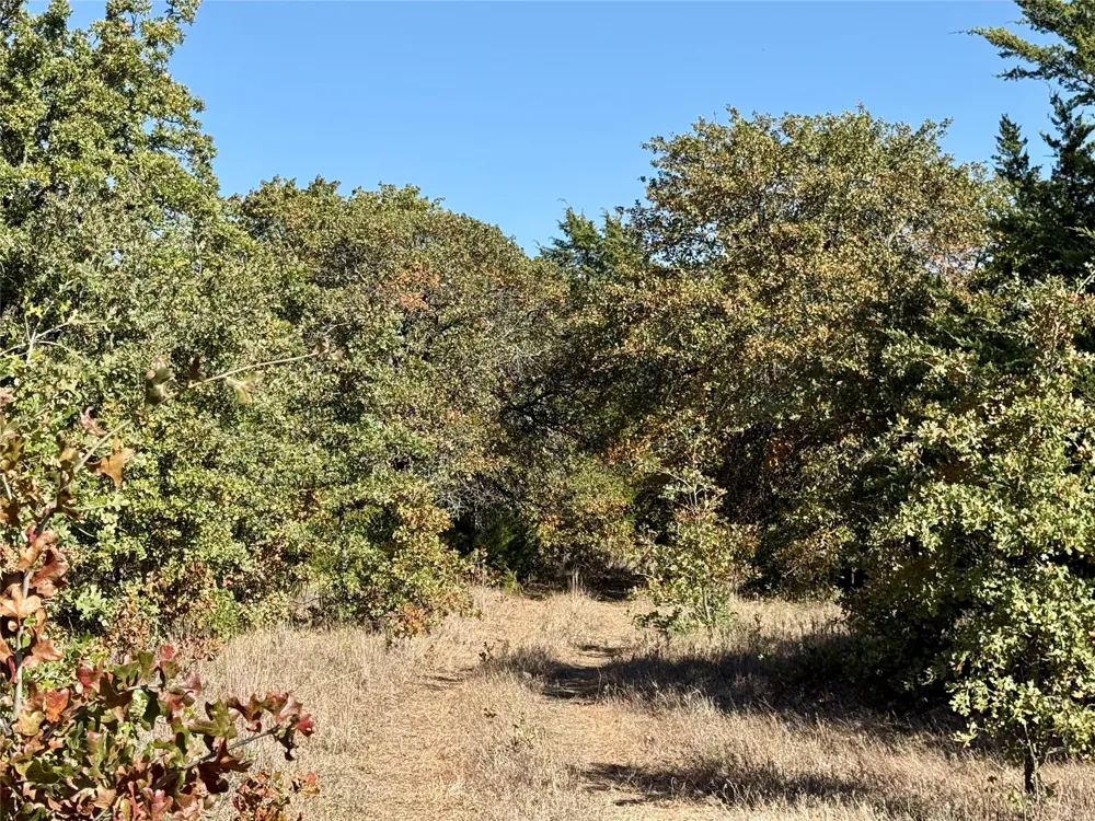 2753 Big Tree Road Montague, TX 76251