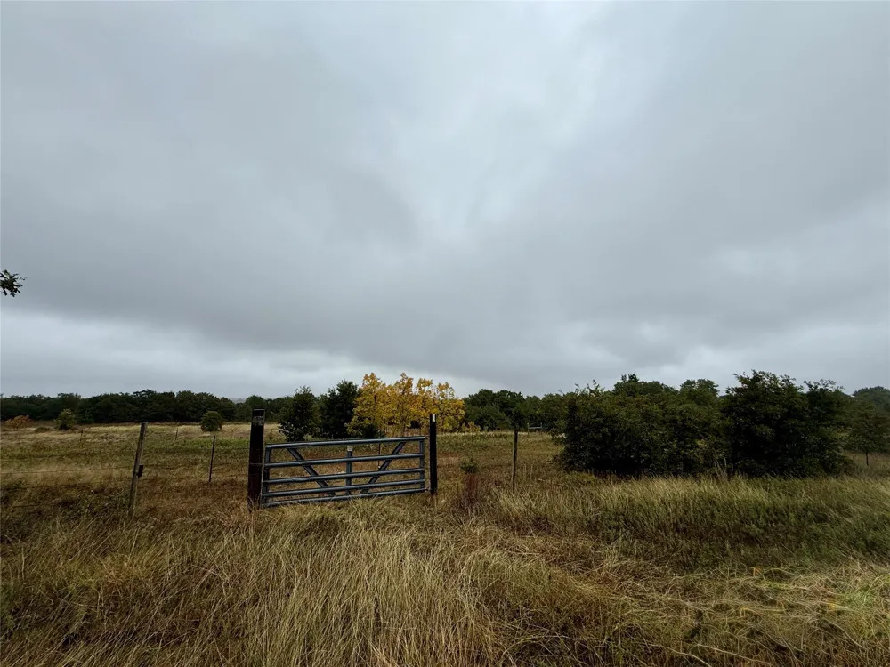 2753 Big Tree Road Montague, TX 76251