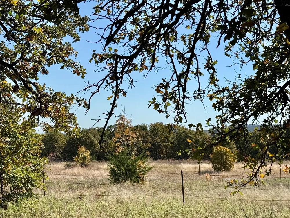 2753 Big Tree Road Montague, TX 76251