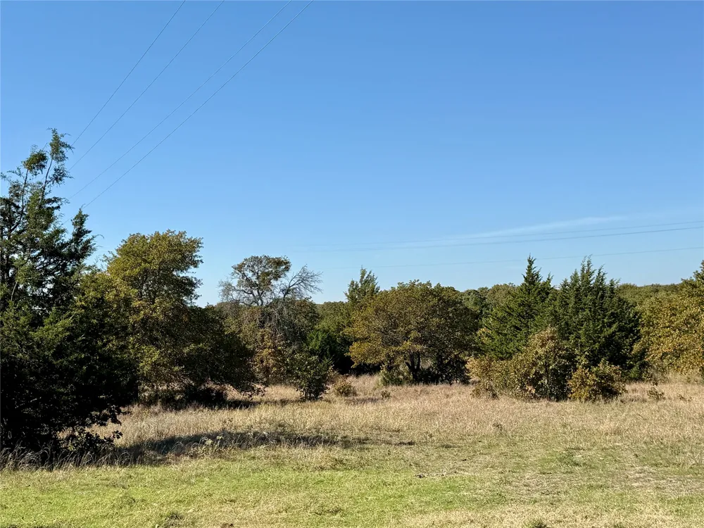 2753 Big Tree Road Montague, TX 76251