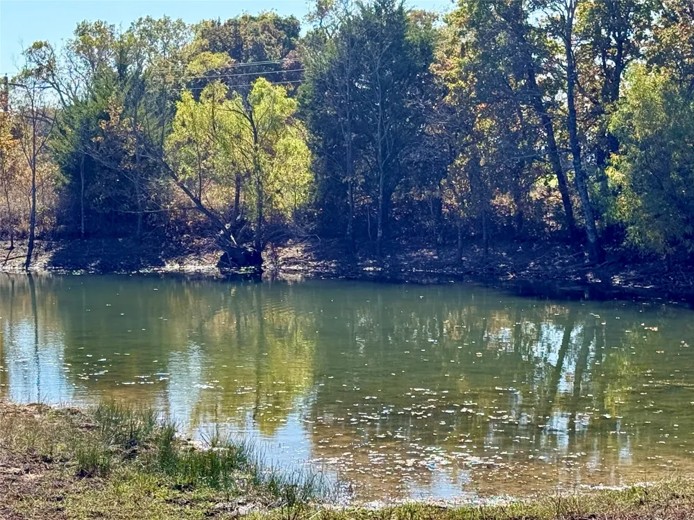 2753 Big Tree Road Montague, TX 76251
