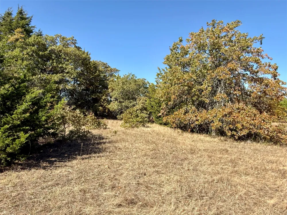 2753 Big Tree Road Montague, TX 76251