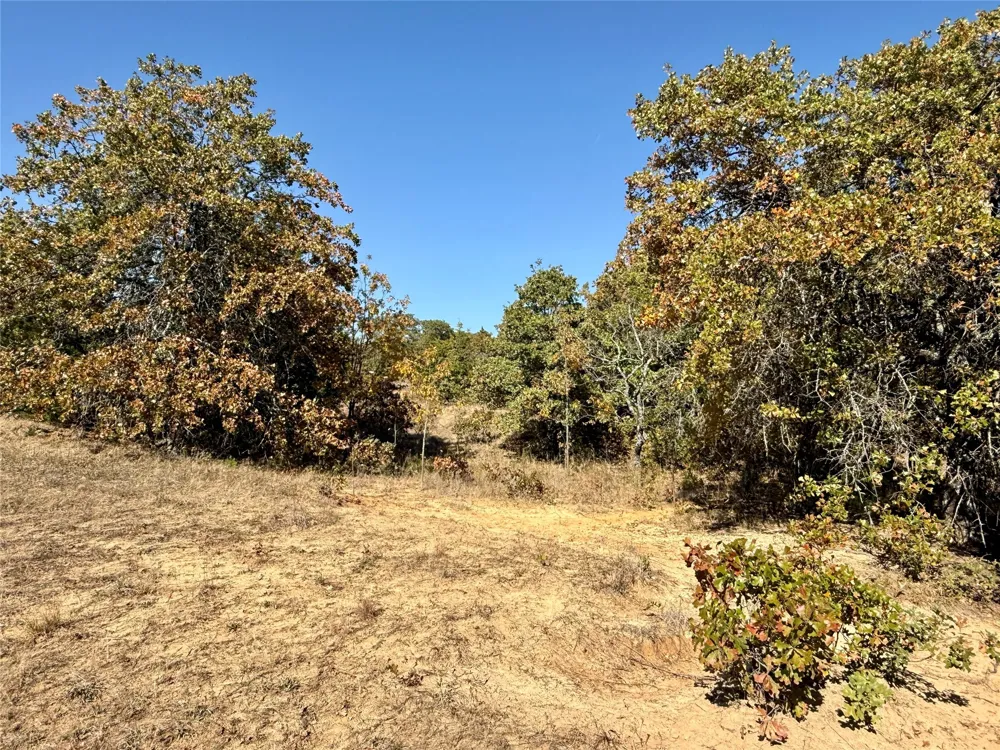 2753 Big Tree Road Montague, TX 76251