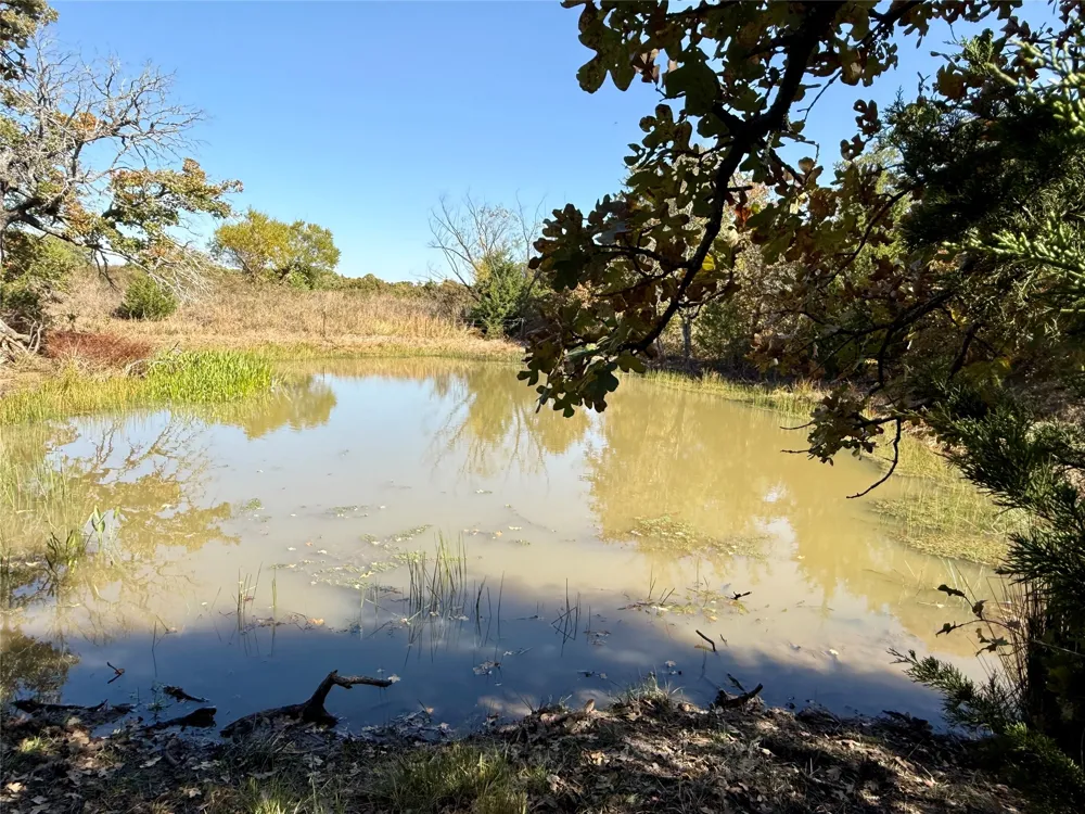 2753 Big Tree Road Montague, TX 76251