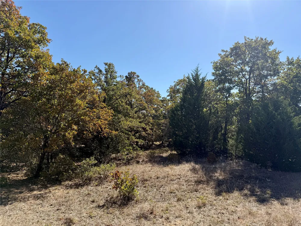 2753 Big Tree Road Montague, TX 76251