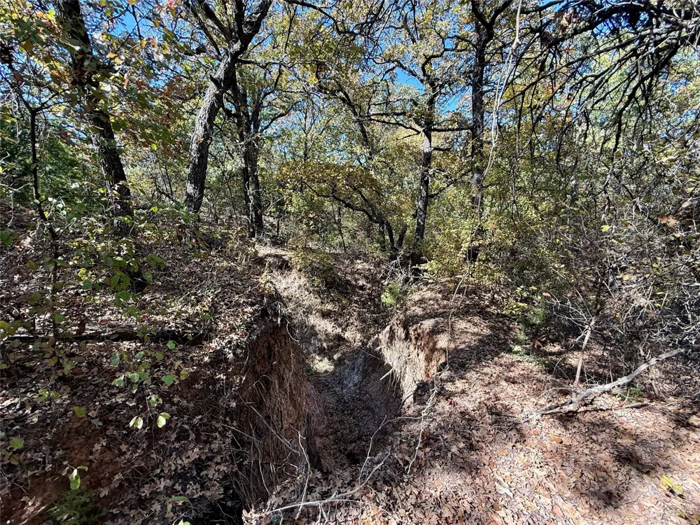 2753 Big Tree Road Montague, TX 76251