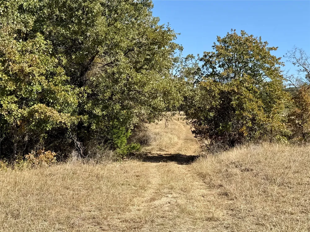 2753 Big Tree Road Montague, TX 76251