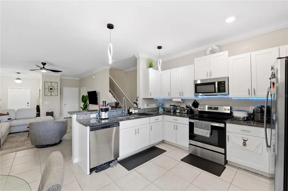 23217 WILLOW GLEN WAY Lutz, FL 33549