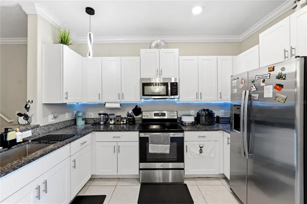 23217 WILLOW GLEN WAY Lutz, FL 33549