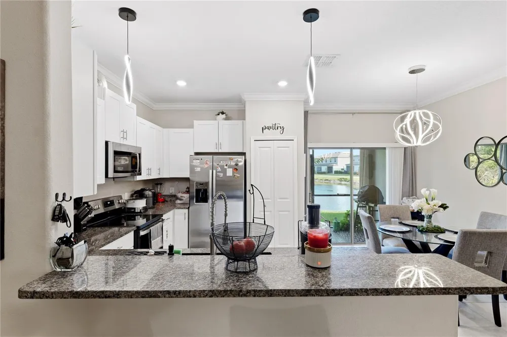 23217 WILLOW GLEN WAY Lutz, FL 33549