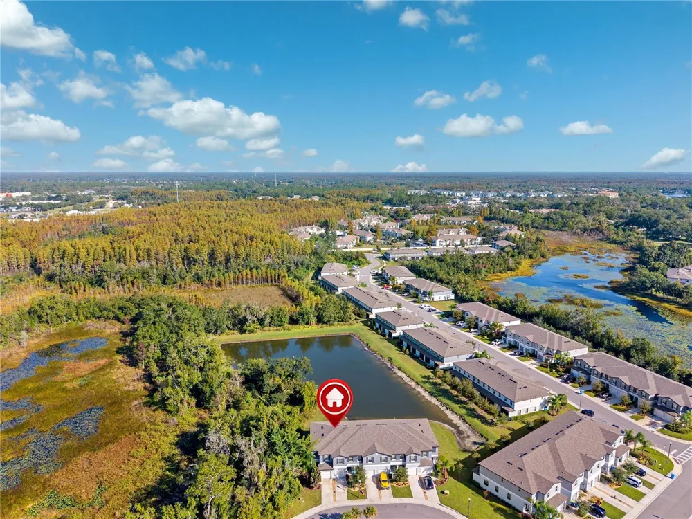 23217 WILLOW GLEN WAY Lutz, FL 33549