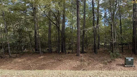 103 Green Tree Drive