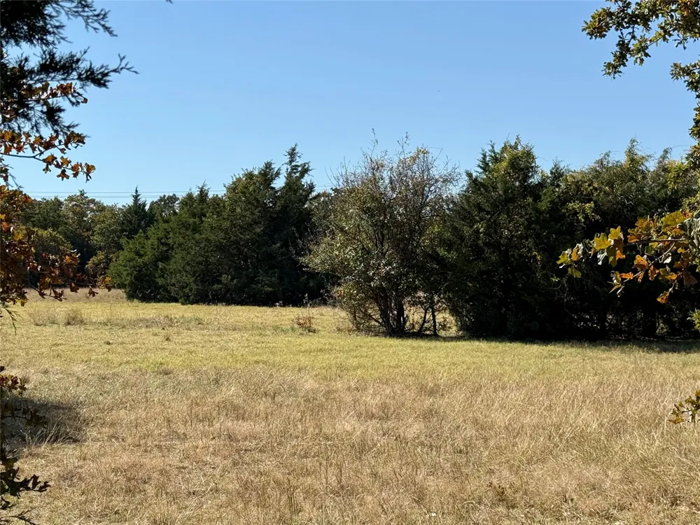 Big Tree Road Montague, TX 76251