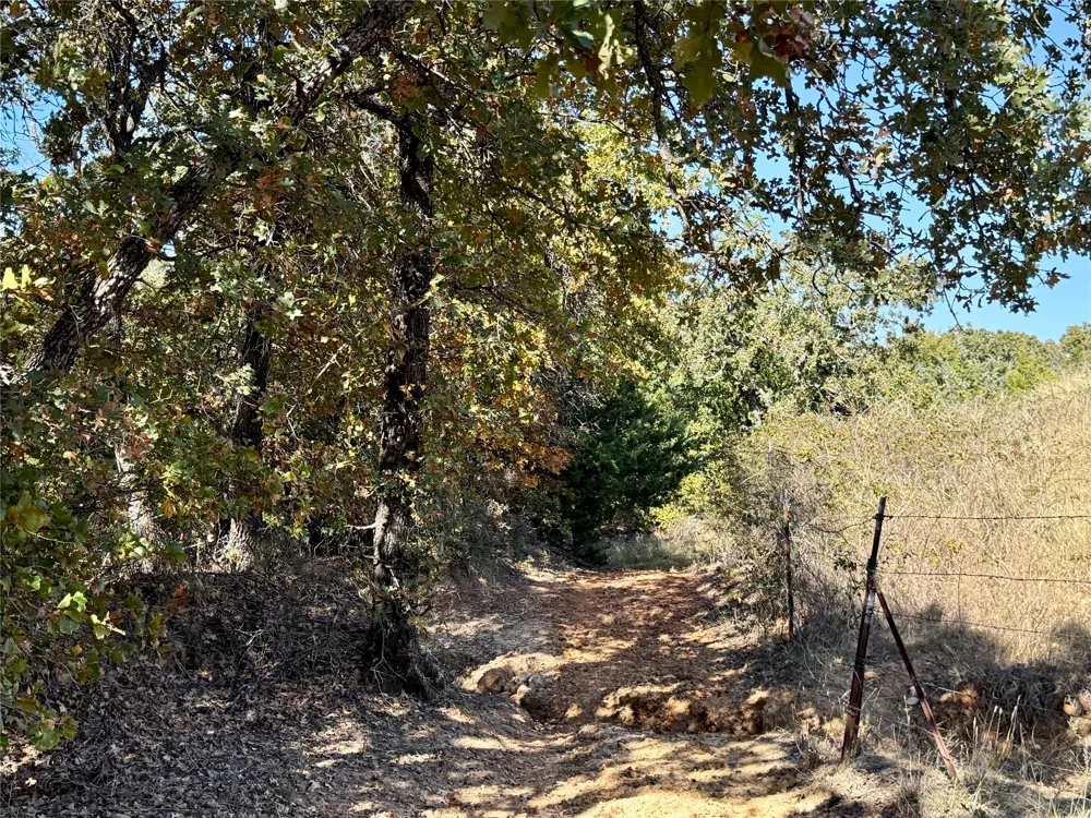 Big Tree Road Montague, TX 76251