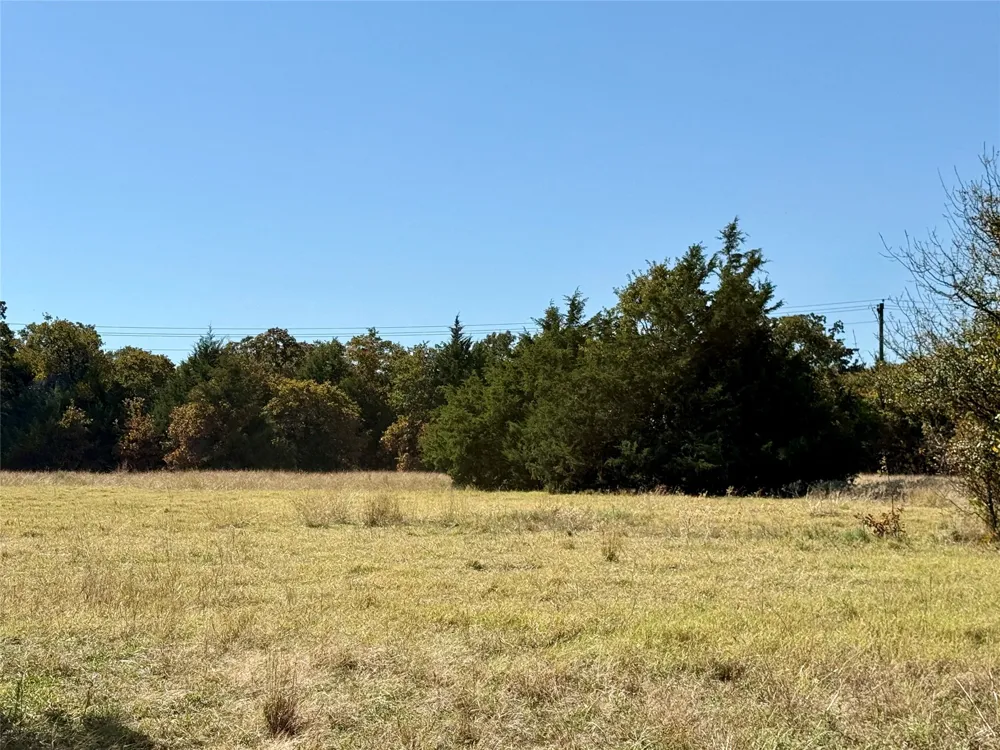 Big Tree Road Montague, TX 76251