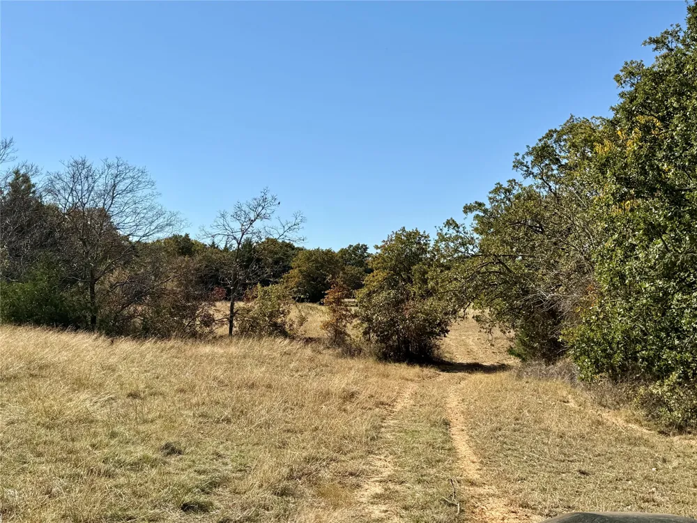 Big Tree Road Montague, TX 76251