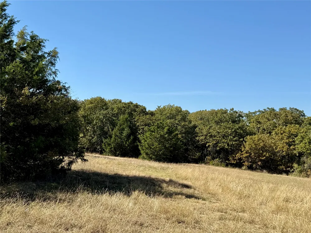 Big Tree Road Montague, TX 76251