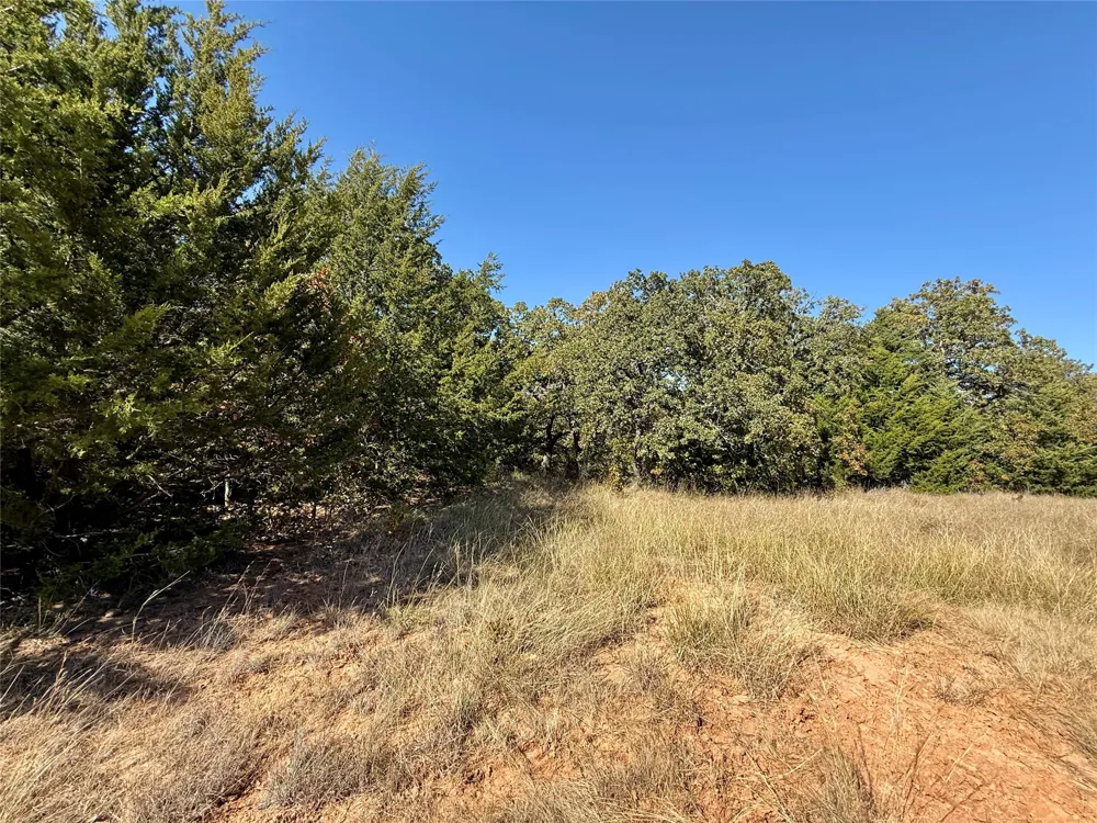 Big Tree Road Montague, TX 76251