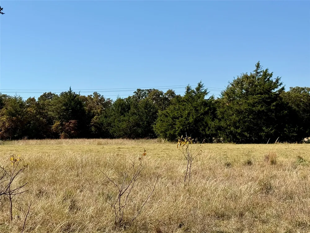 Big Tree Road Montague, TX 76251