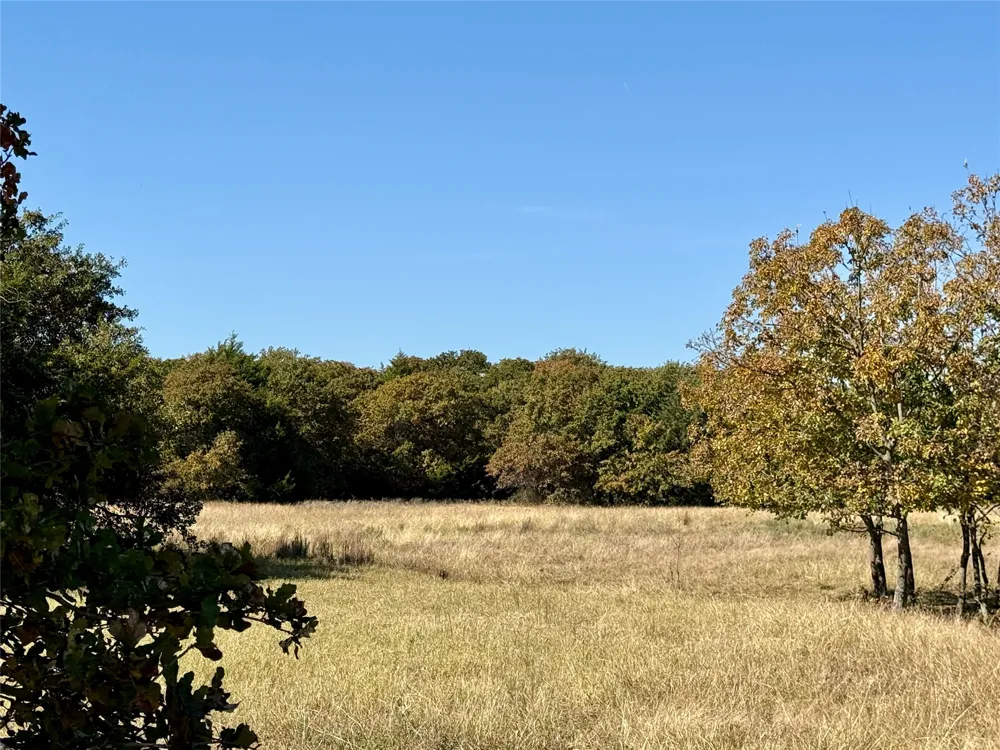 Big Tree Road Montague, TX 76251