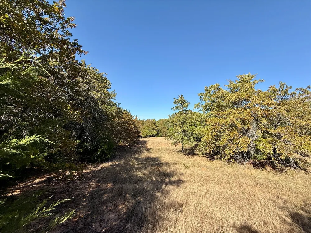 Big Tree Road Montague, TX 76251