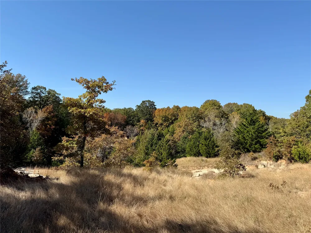Big Tree Road Montague, TX 76251