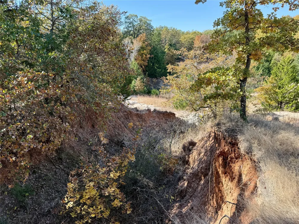 Big Tree Road Montague, TX 76251