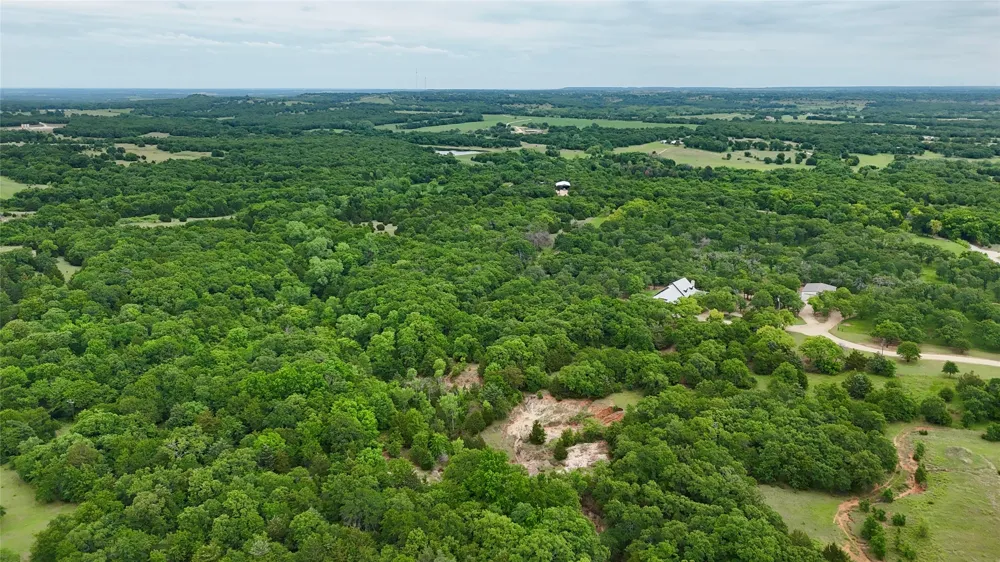 Big Tree Road Montague, TX 76251