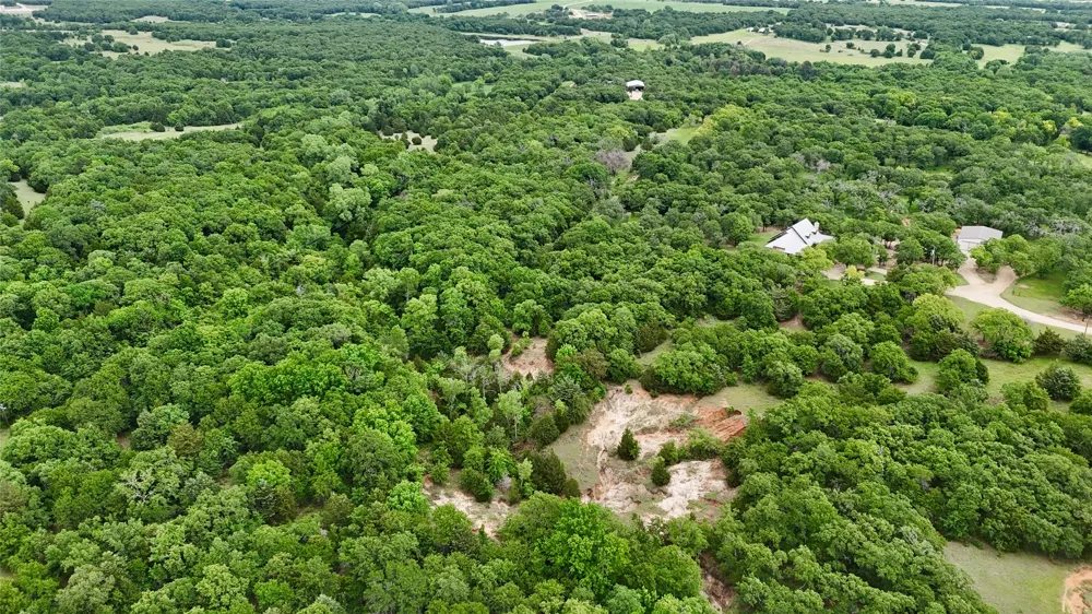 Big Tree Road Montague, TX 76251