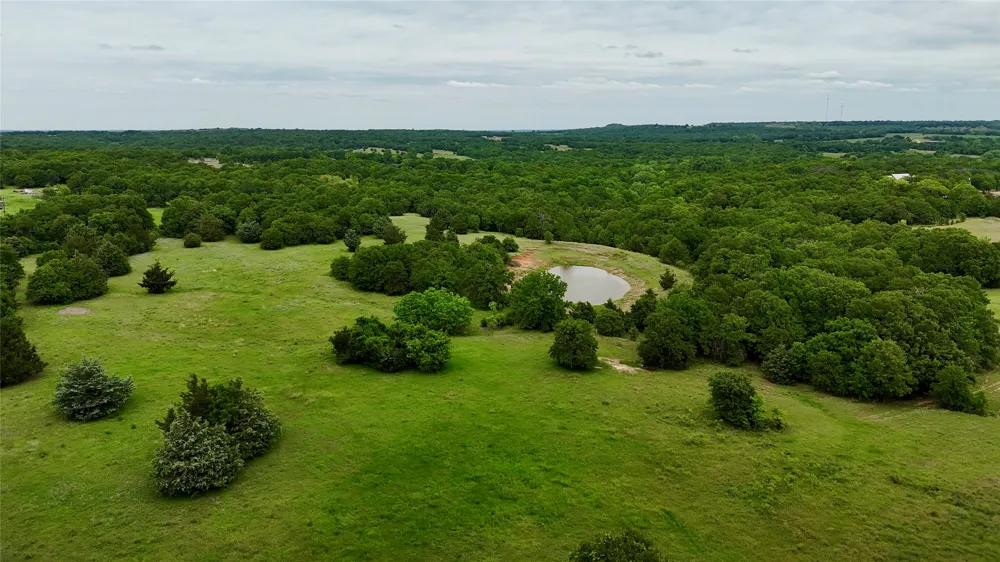 Big Tree Road Montague, TX 76251