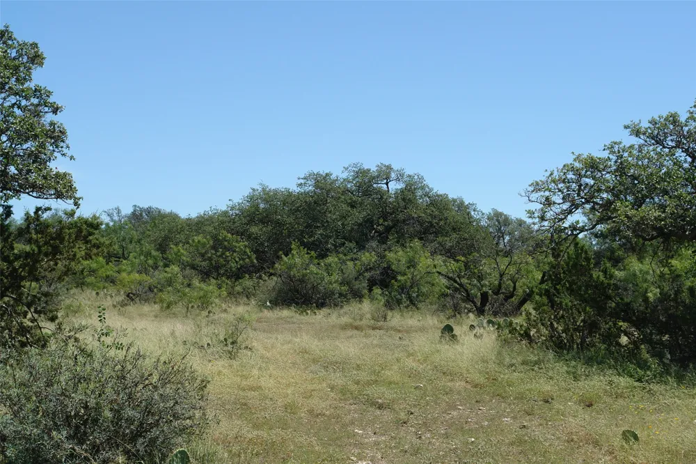1 CR 146 Brady, TX 76825