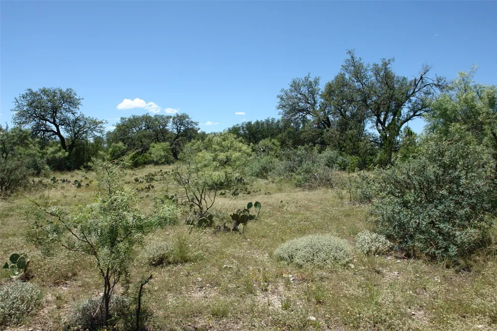 1 CR 146 Brady, TX 76825