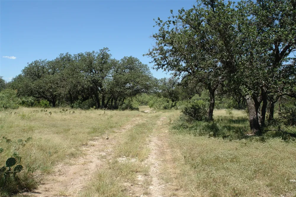 1 CR 146 Brady, TX 76825