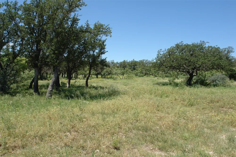 1 CR 146 Brady, TX 76825