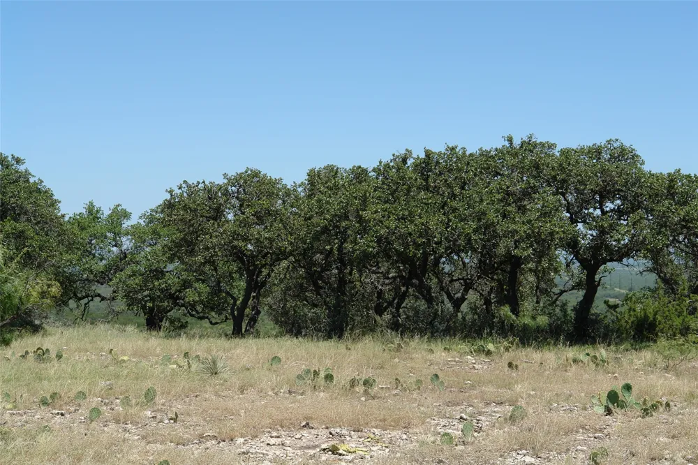 3 CR 146 Brady, TX 76825