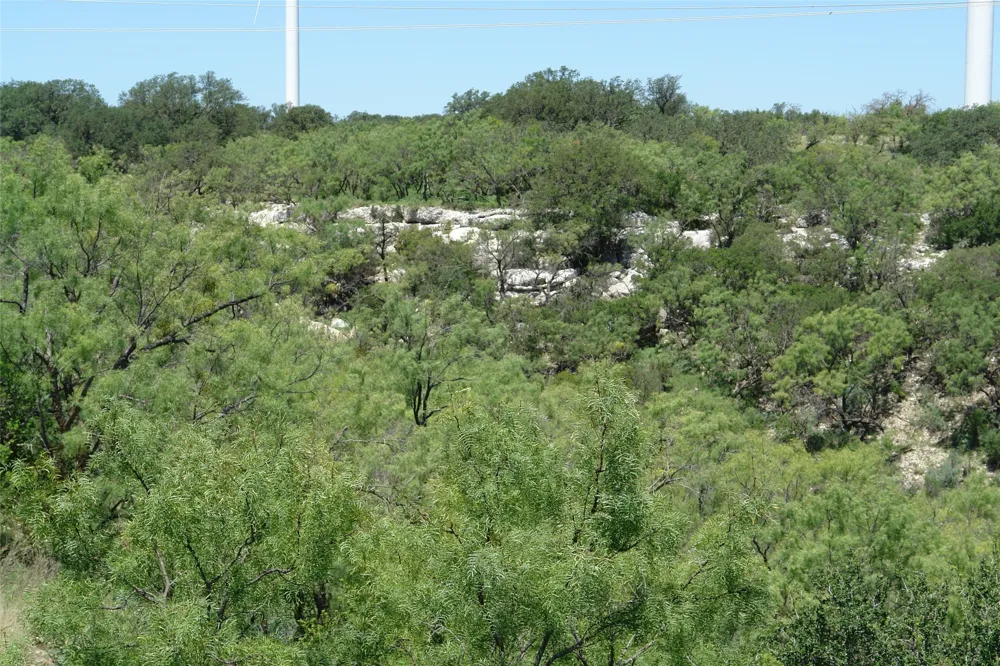 3 CR 146 Brady, TX 76825