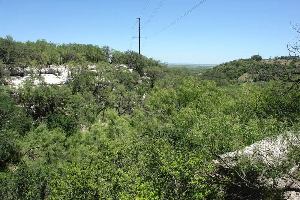 3 CR 146 Brady, TX 76825