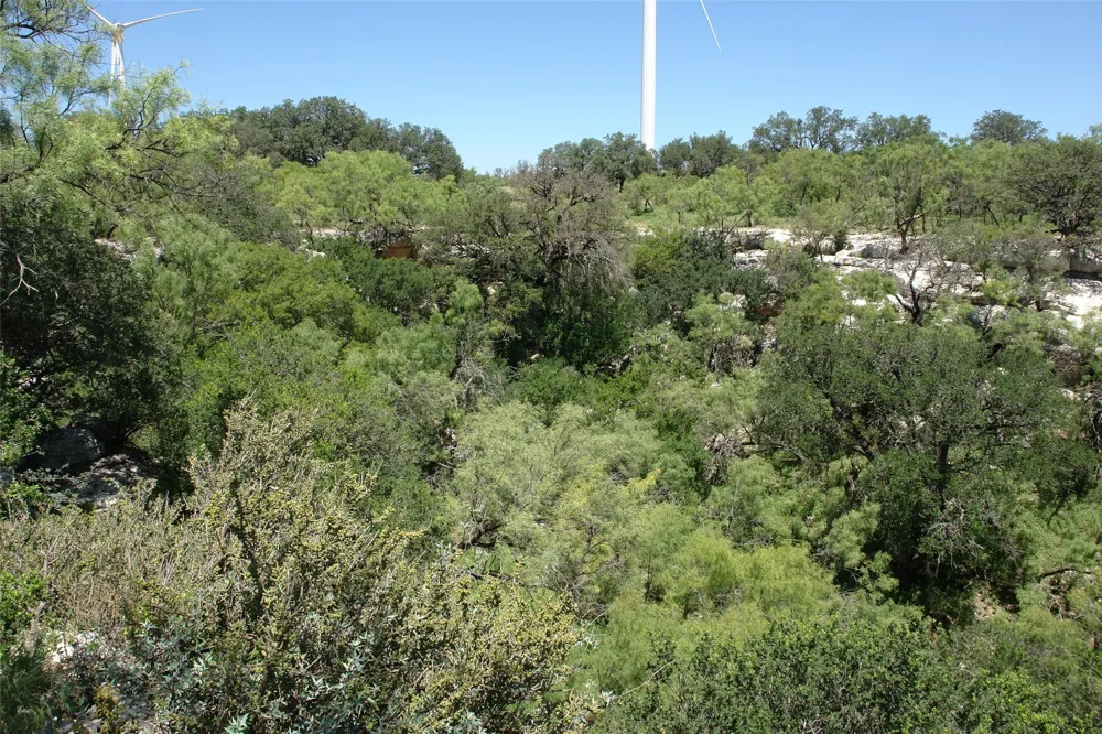 3 CR 146 Brady, TX 76825