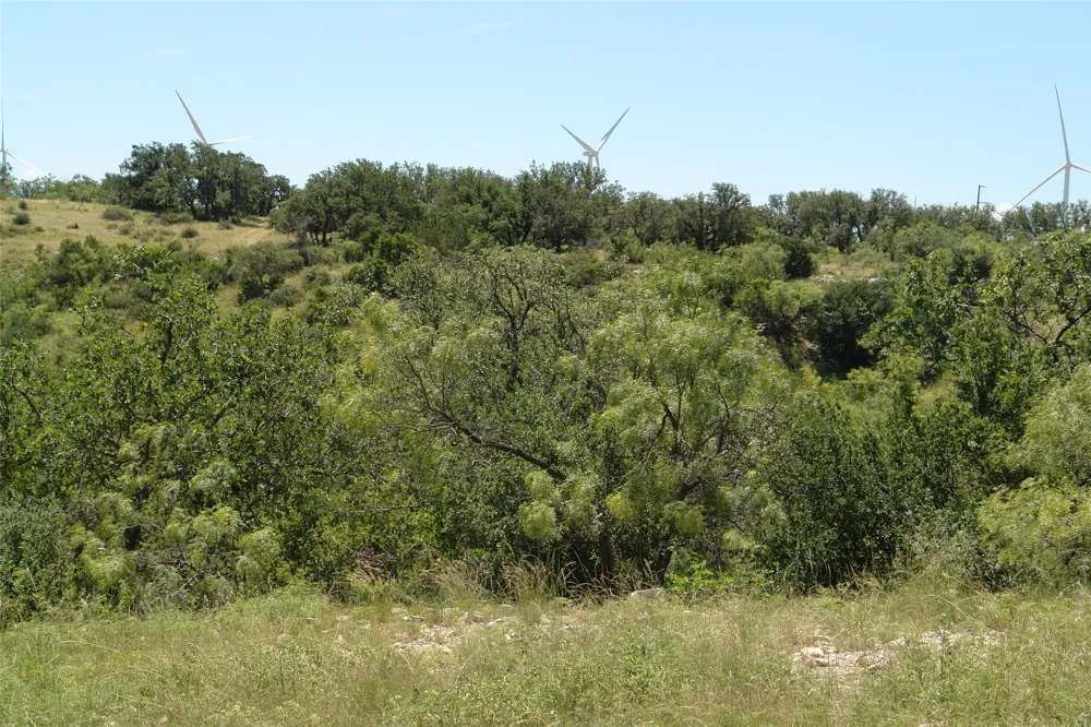 3 CR 146 Brady, TX 76825