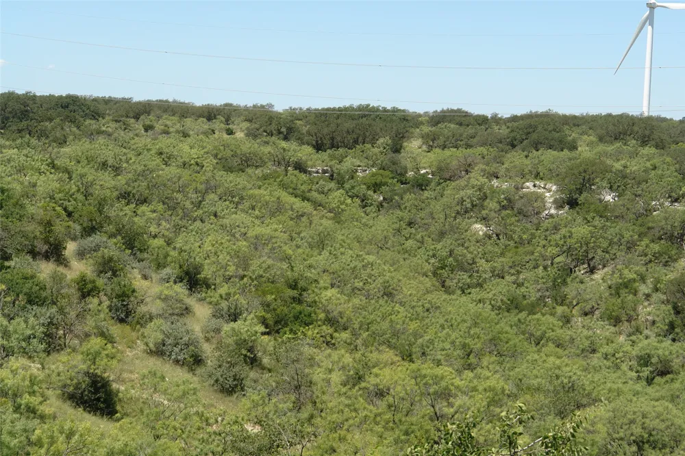 3 CR 146 Brady, TX 76825