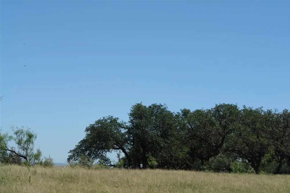 3 CR 146 Brady, TX 76825