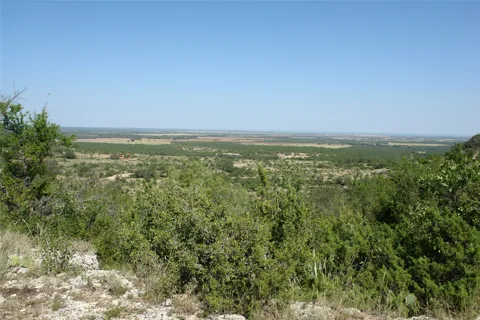 2 CR 146