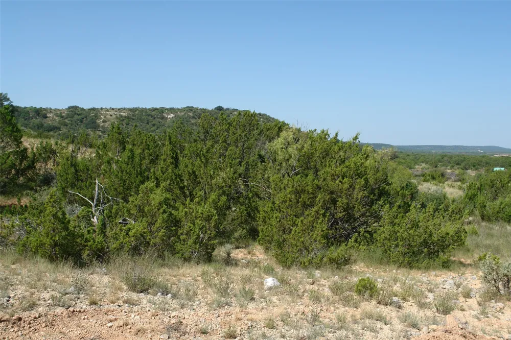 2 CR 146 Brady, TX 76825