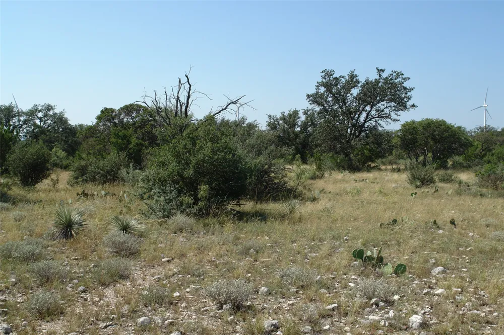 2 CR 146 Brady, TX 76825