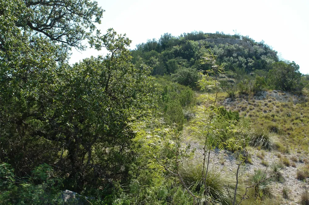 2 CR 146 Brady, TX 76825