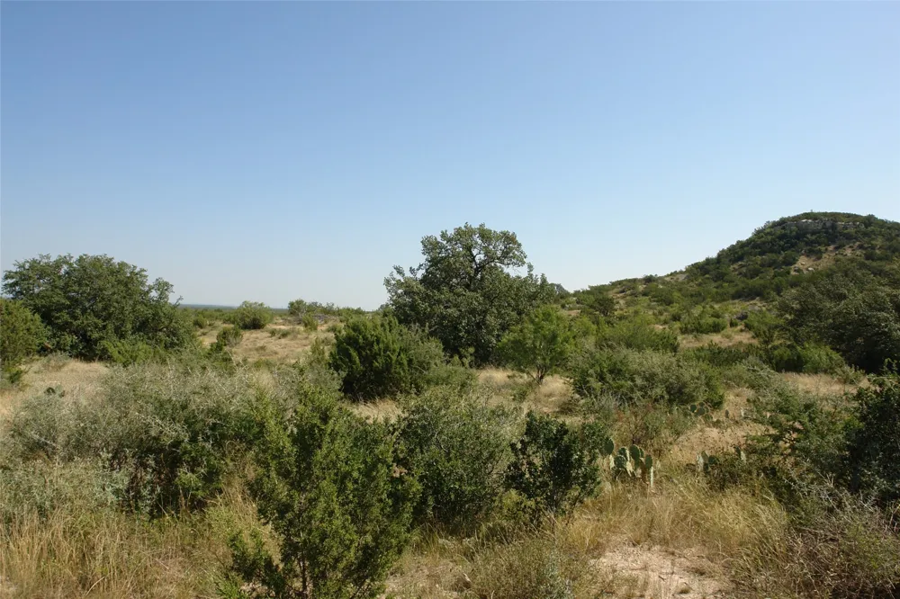 2 CR 146 Brady, TX 76825