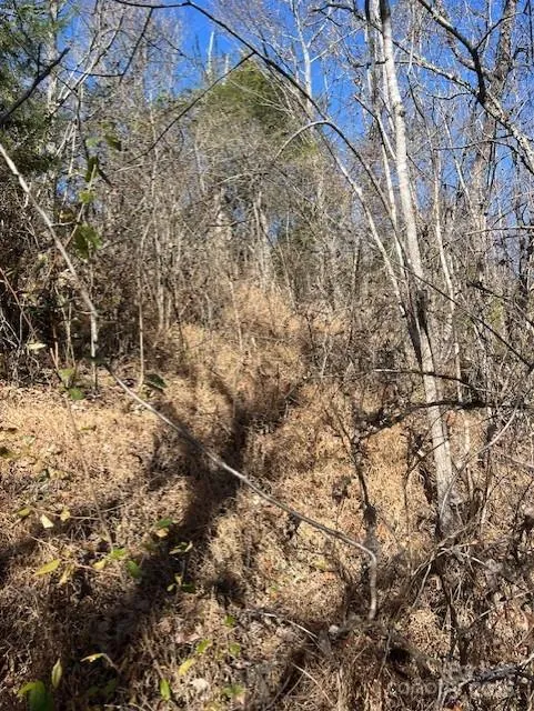 TBD Bend View Drive Marshall, NC 28753