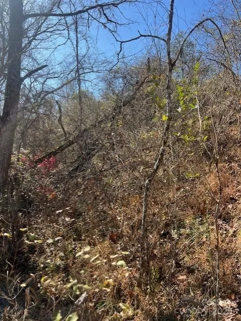 TBD Bend View Drive Marshall, NC 28753