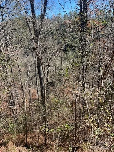TBD Bend View Drive Marshall, NC 28753