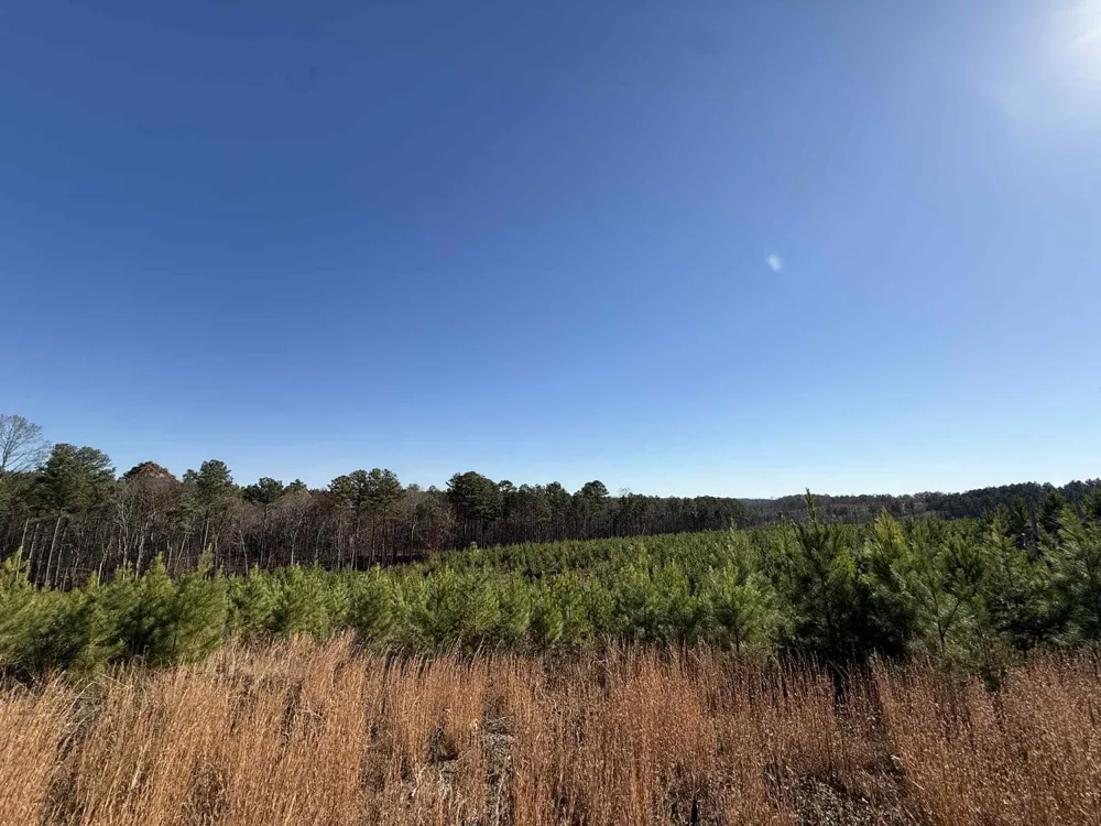 0 St Rt 399 Dunlap, TN 37327